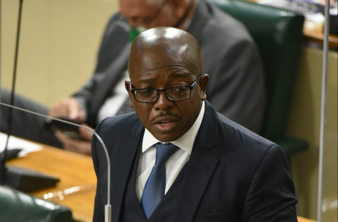 Minister of Housing, Urban Renewal, Environment and Climate Change, Hon Pearnel Charles Jr., making his 2021/22 Sectoral Debate contribution in the House of Representatives on May 4.

 