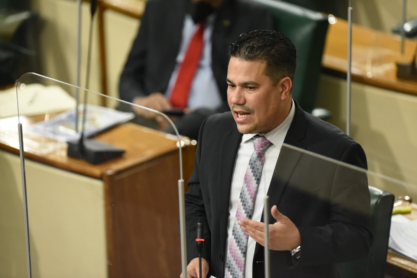 Minister without Portfolio in the Ministry of National Security, Senator the Hon. Matthew Samuda, addressing the  recent sitting of the Senate at Gordon House.

