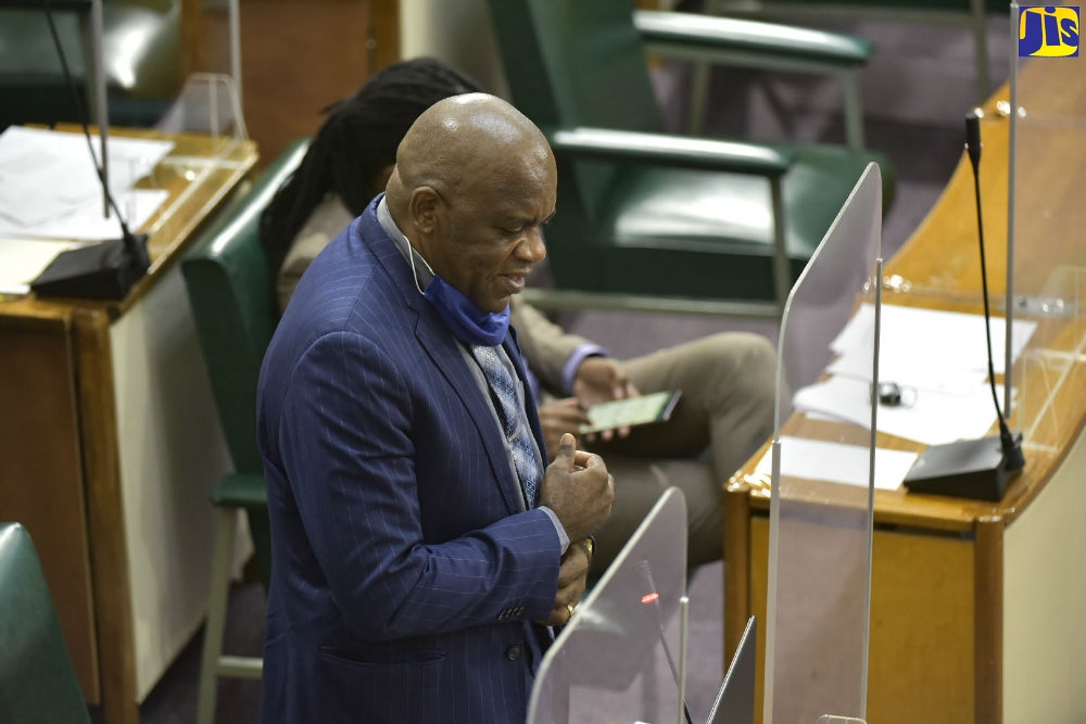 Senators Pay Tribute to Ambassador Anthony Johnson