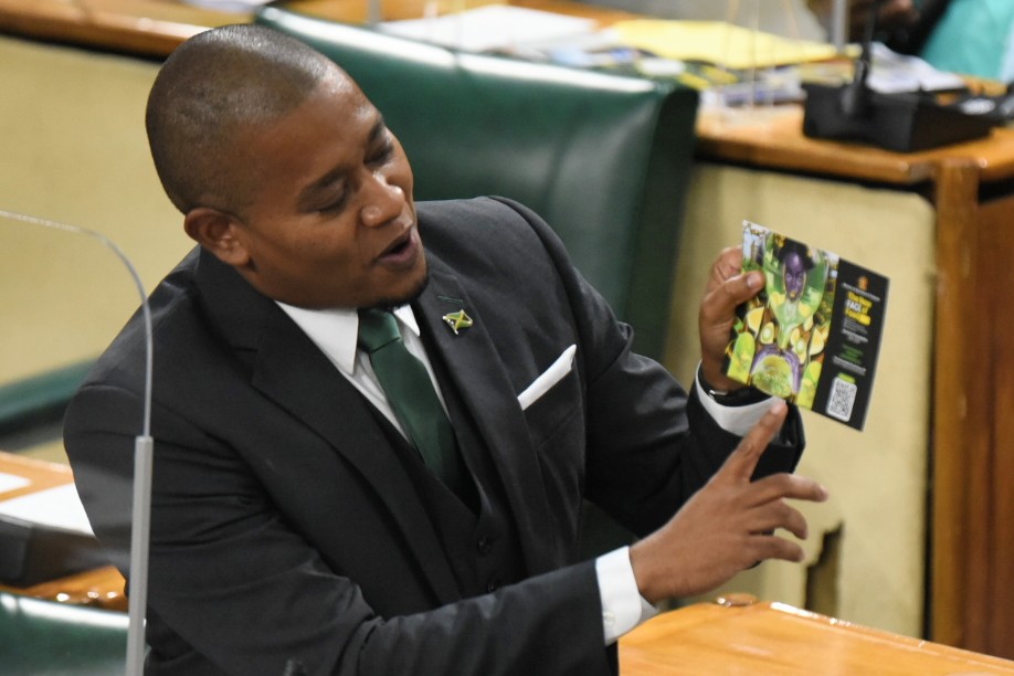 Minister of Agriculture and Fisheries, Hon. Floyd Green, making his contribution to the 2021/22 Sectoral Debate in the House of Representatives on May 12.


