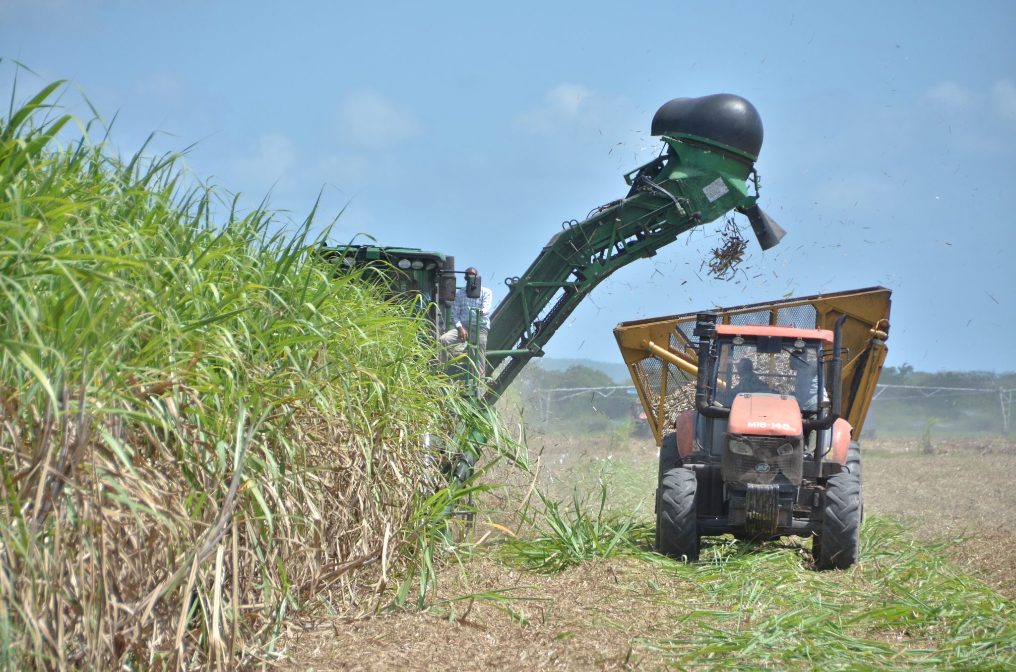 SIA To Improve Regulation Of Sugar Sector