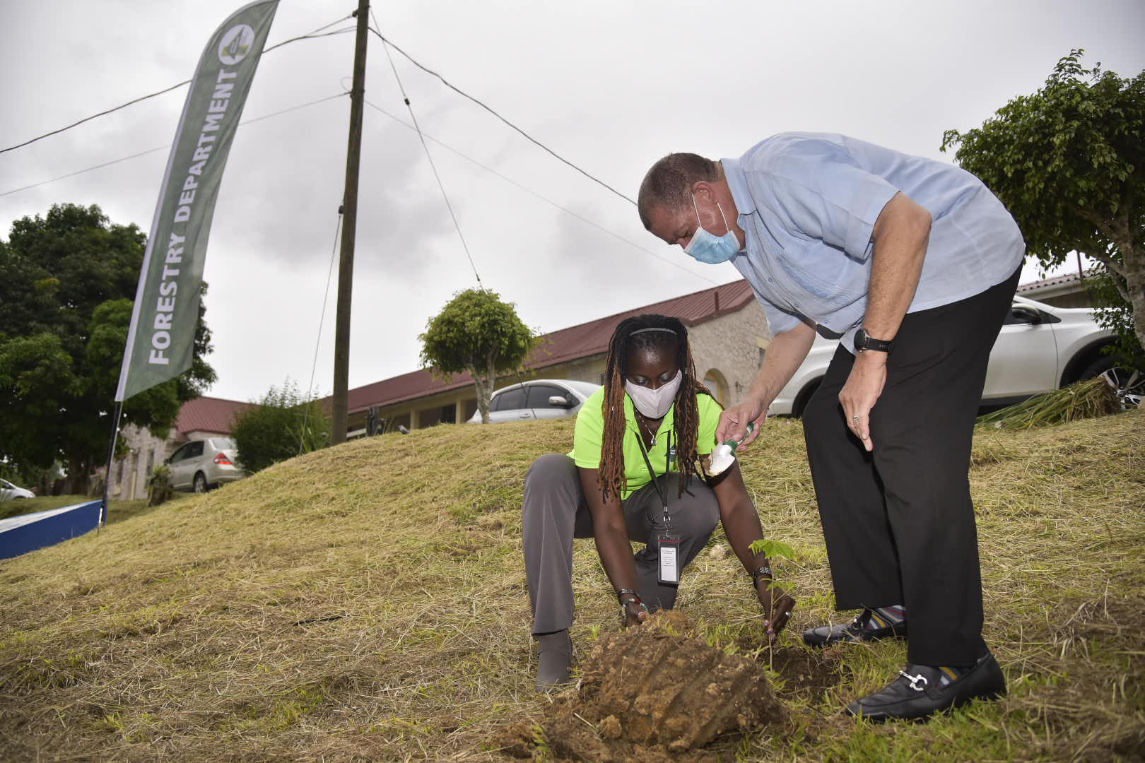 Thousands Of Trees To Be Planted In Manchester