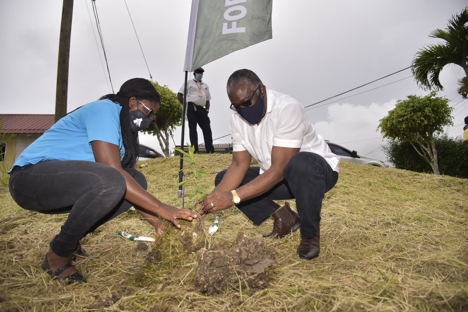 Thousands Of Trees To Be Planted In Manchester