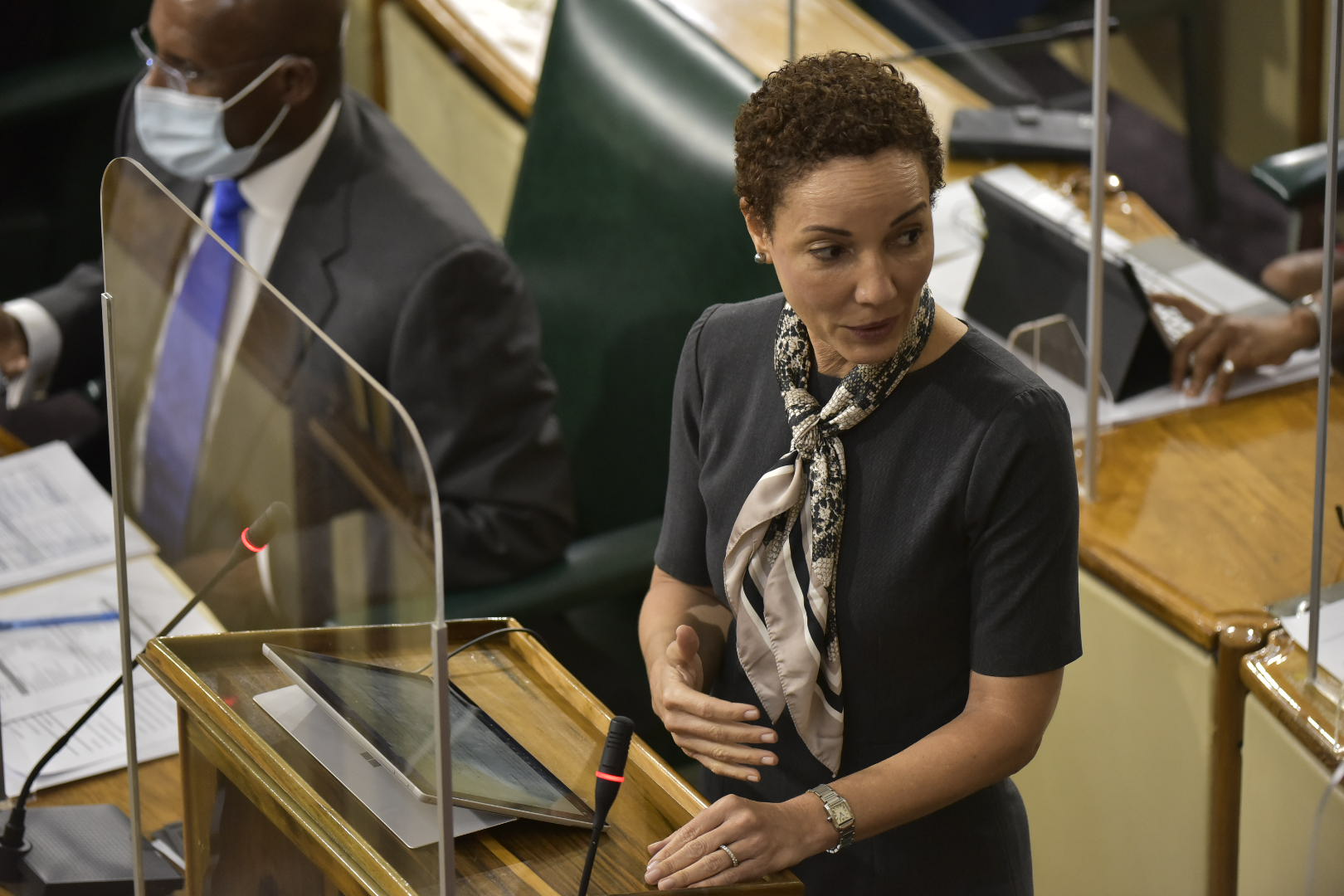 Minister of Foreign Affairs and Foreign Trade, Senator the Hon. Kamina Johnson Smith addressing the sitting of the Senate on June 11.