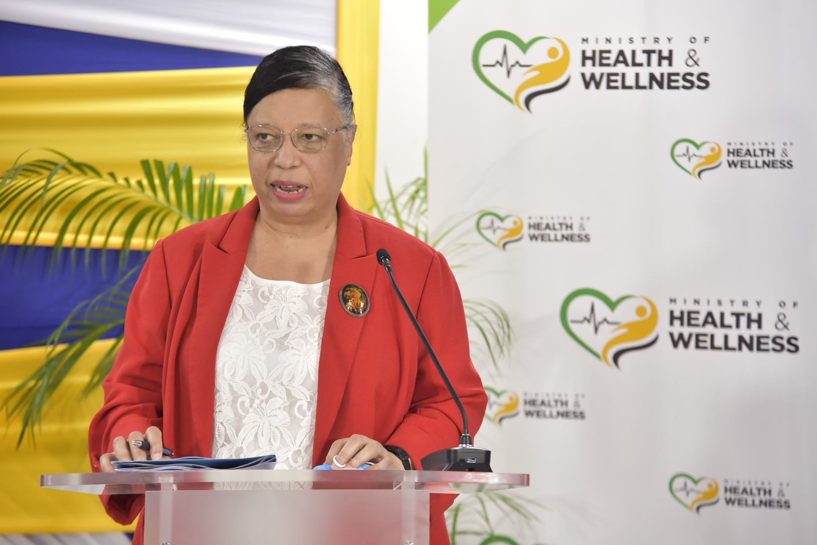 Health Ministry And PAHO/WHO Sign Technical Assistance Agreement