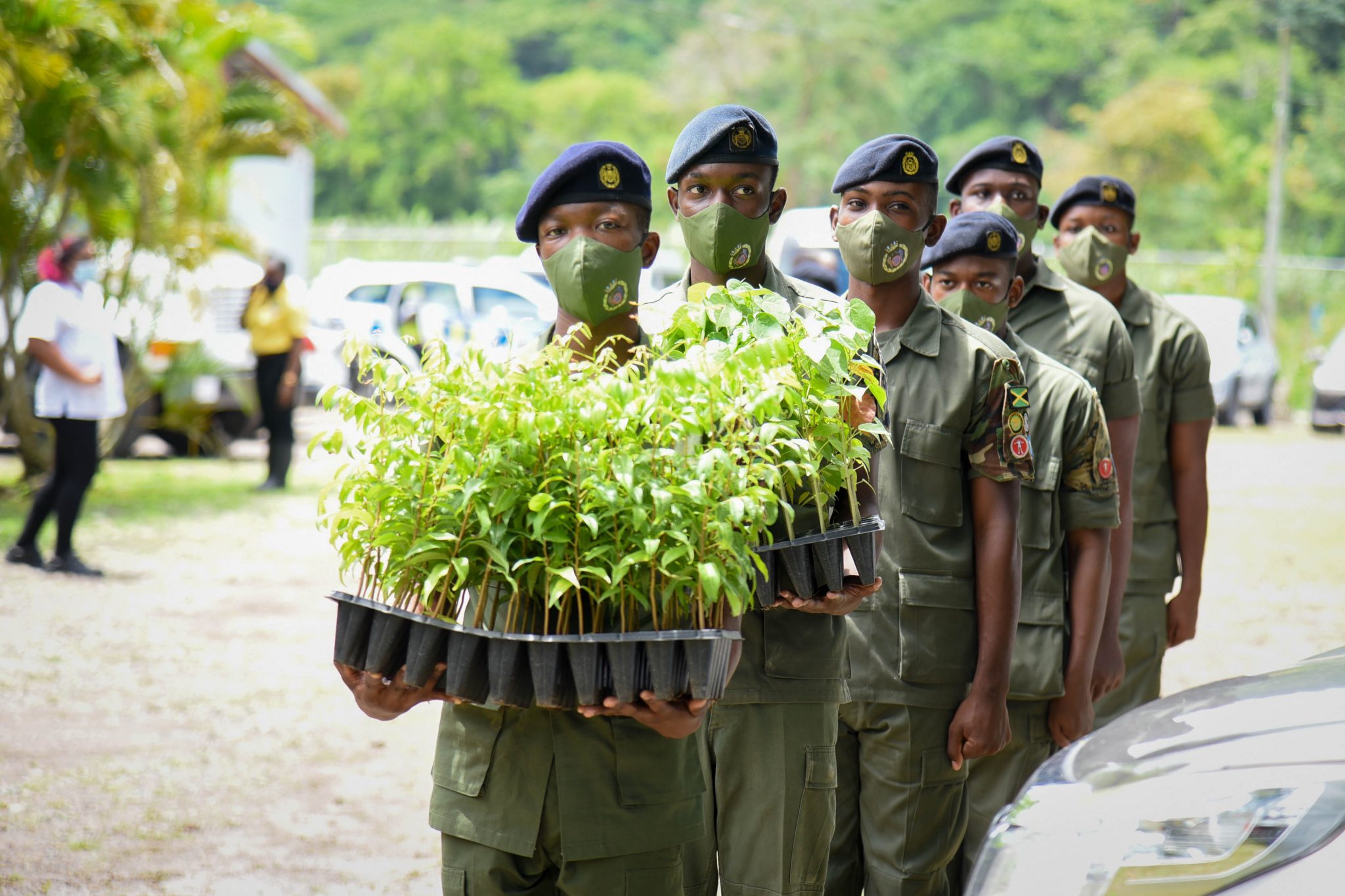 Gov’t To Embark On Parish Tree-Planting Project