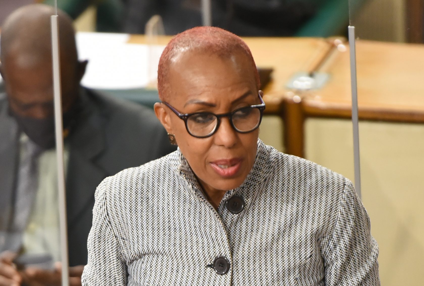 Minister of Education, Youth and Information, Hon. Fayval Williams, speaks in the House of Representatives on July 13.