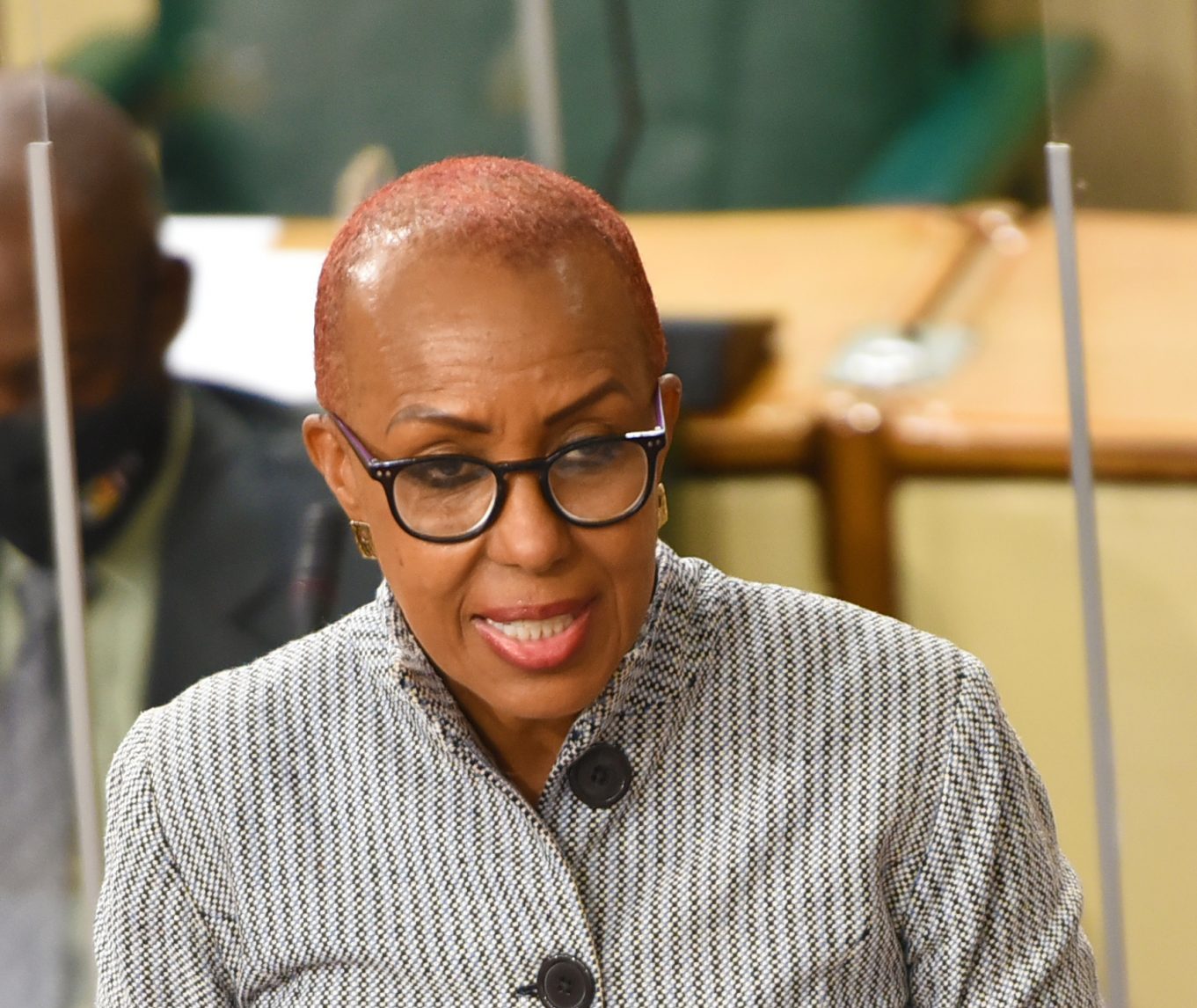 Minister of Education, Youth and Information, Hon. Fayval Williams, speaks in the House of Representatives on July 13.