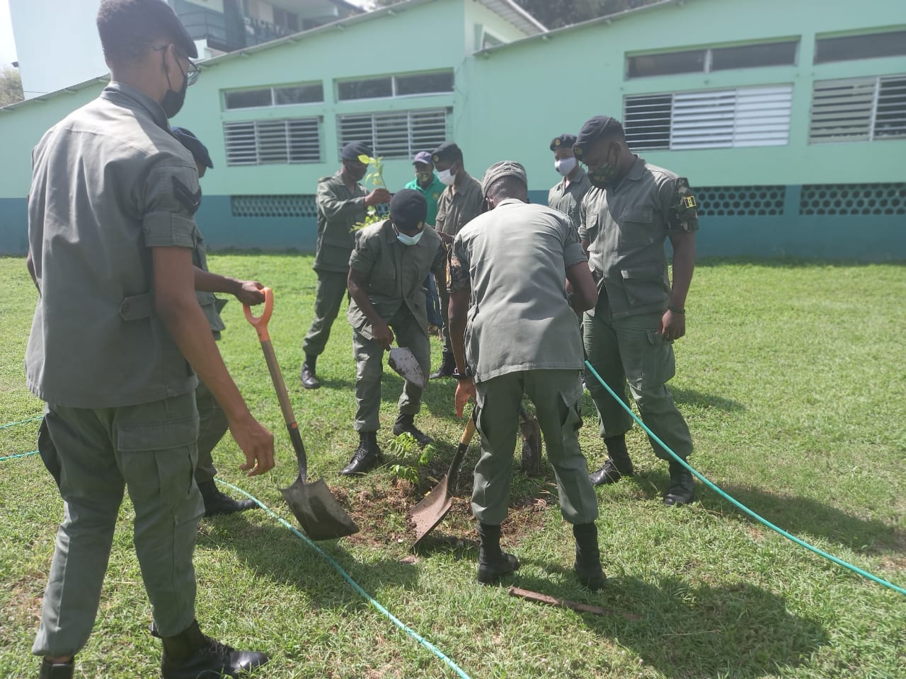 Members Of Combined Cadet Force Plant Trees At Calabar High