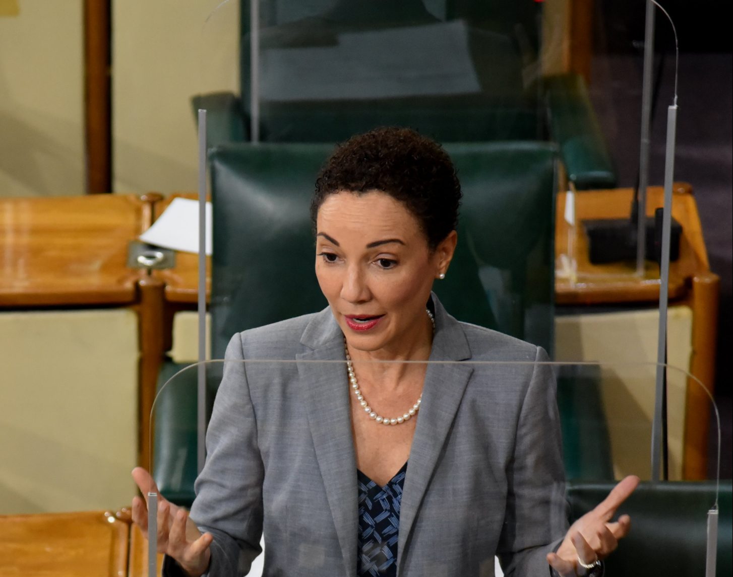 Minister of Foreign Affairs and Foreign Trade, Senator the Hon. Kamina Johnson Smith. (FIle Photo)