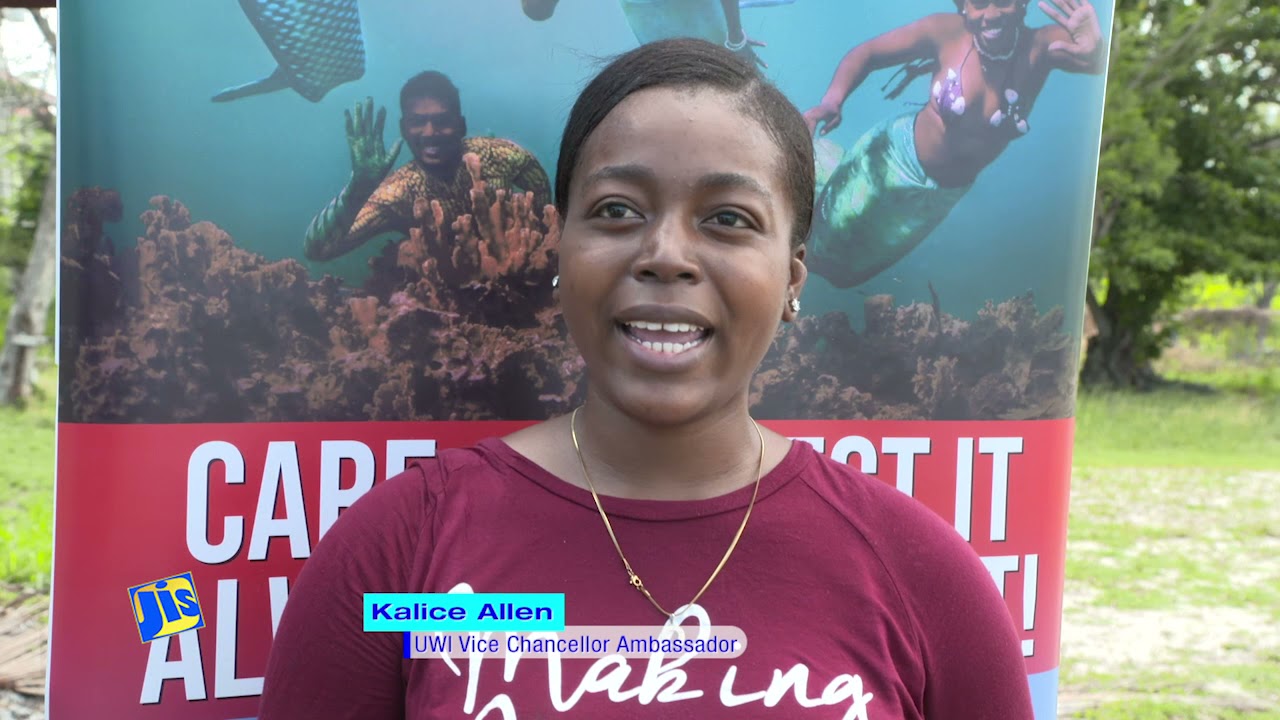 Keep Wi Island Clean