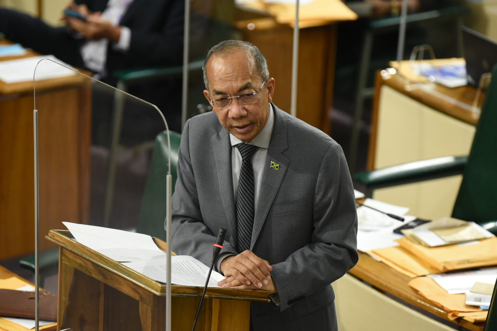 Deputy Prime Minister and National Security Minister, Hon. Dr. Horace Chang, speaking in the House of Representatives on June 15.

