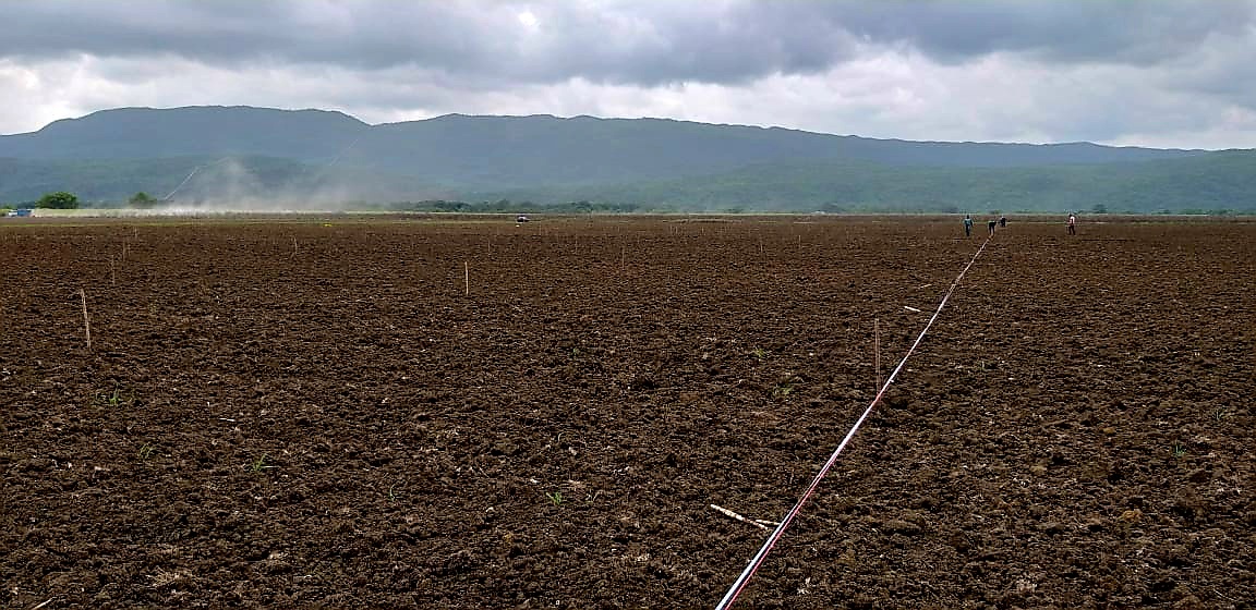 AIC Seeking Investors For Mango Agro Park