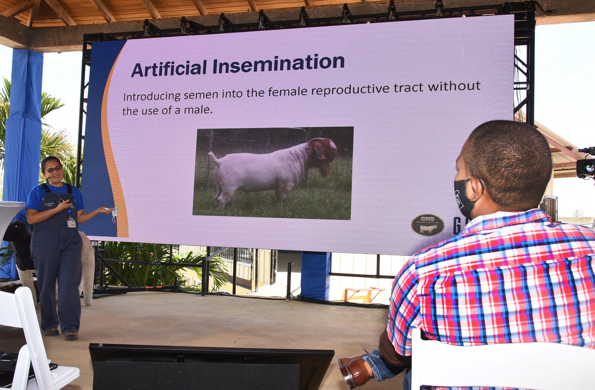 PHOTOS: Small Ruminants Artificial Insemination Workshop