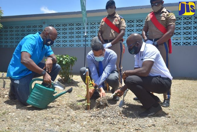 Prime Minister, the Most Hon. Andrew Holness (front centre), planting a tree at his alma mater, St. Catherine High School, earlier this year in support of the National Tree Planting Programme. He is assisted by the Minister of Housing, Urban Renewal, Environment and Climate Change, Hon. Pearnel Charles Jr (right), and Chief Executive Officer and Conservator of Forests, Ainsley Henry. Looking on (in the background) are cadets from the school. (Yhomo Hutchinson Photo)