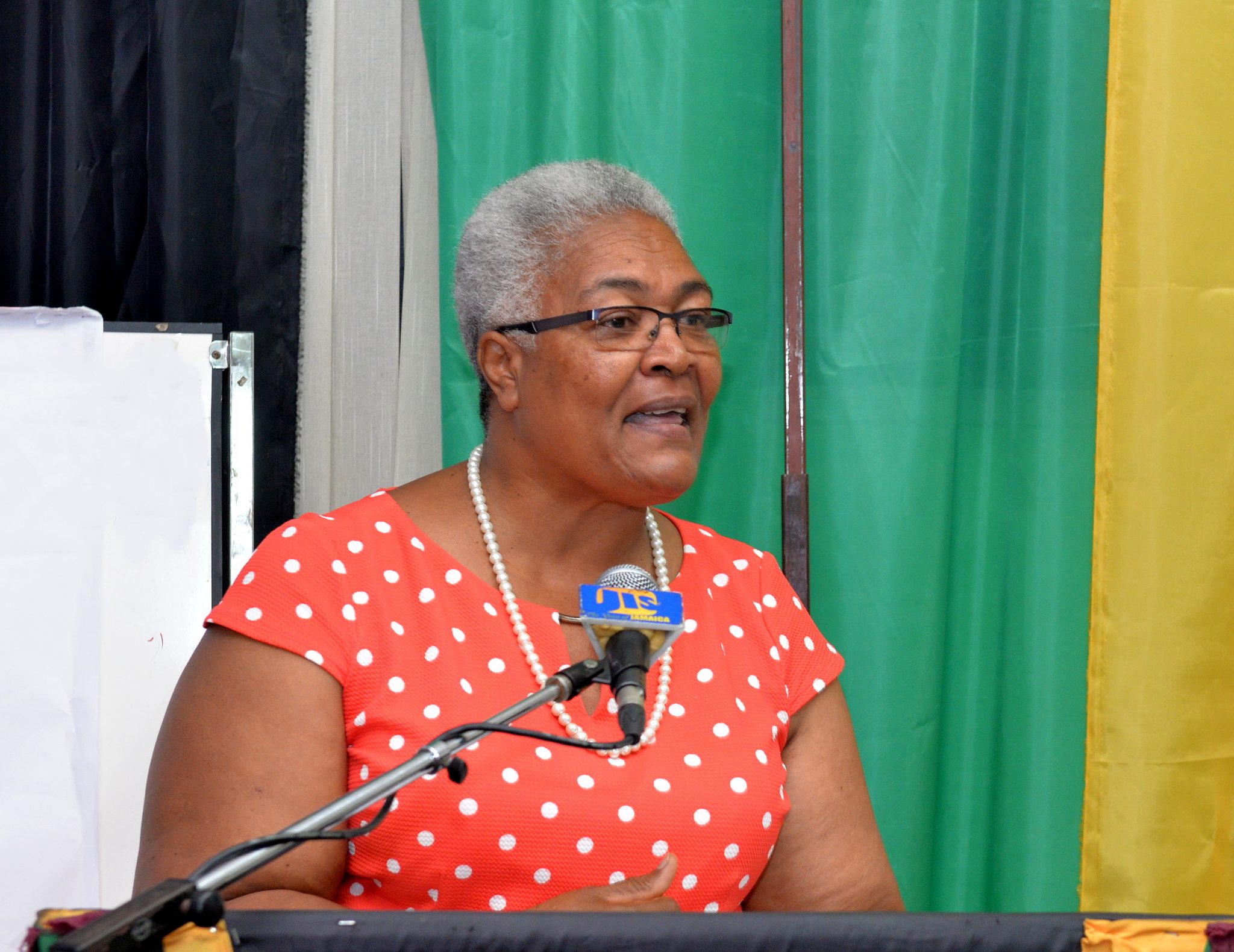 Chief Executive Officer (CEO) of United Way of Jamaica, Winsome Wilkins  Photo: Dave Reid

