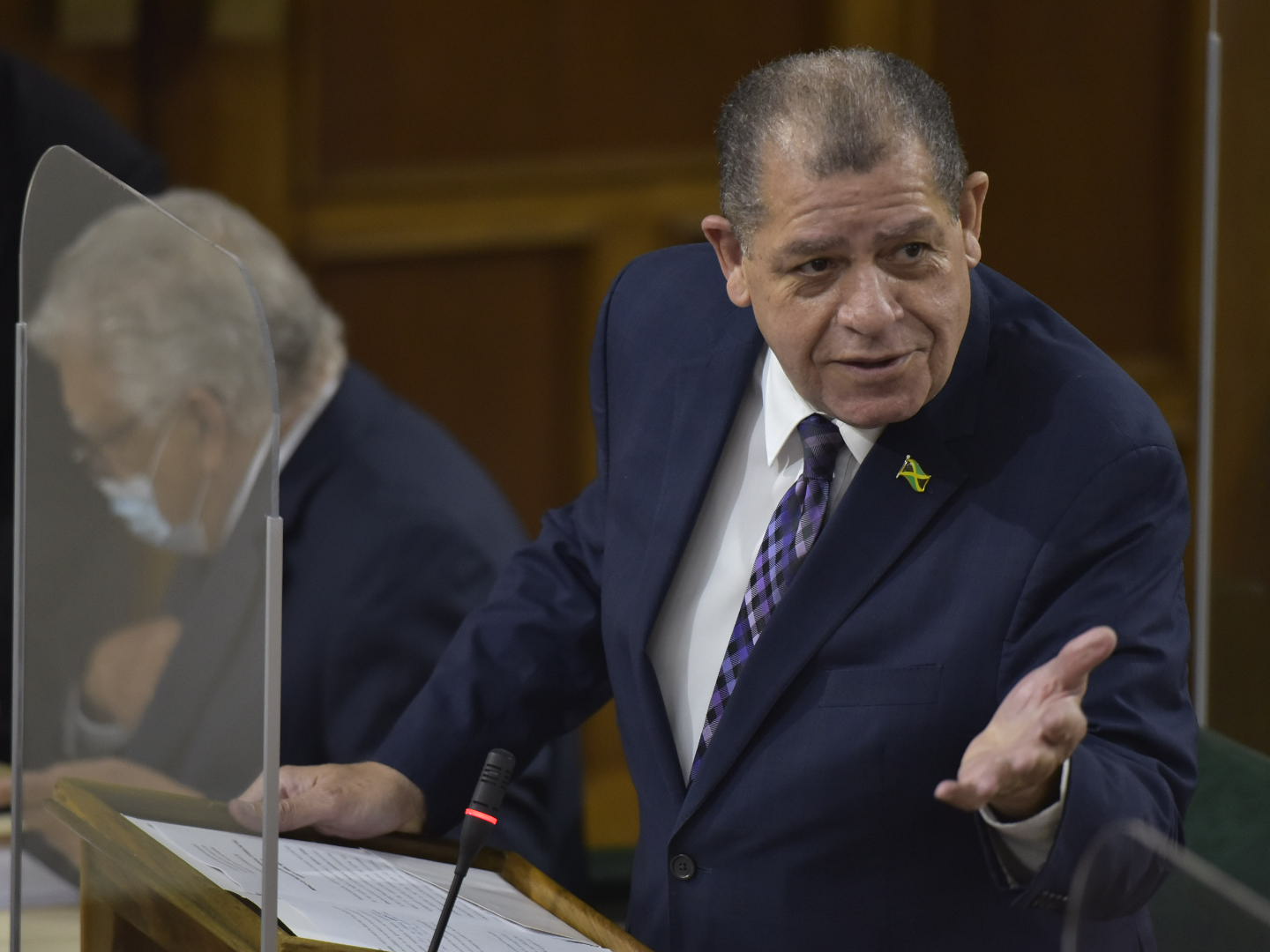 Minister of Agriculture and Fisheries, Hon. Audley Shaw, provides an update on support for the agriculture sector, following the passage of Tropical Storms Grace and Ida, during the sitting of the House of Representatives on September  22.

