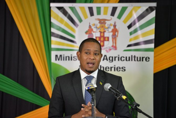 Government Commits $320M To Buy-Back Programme