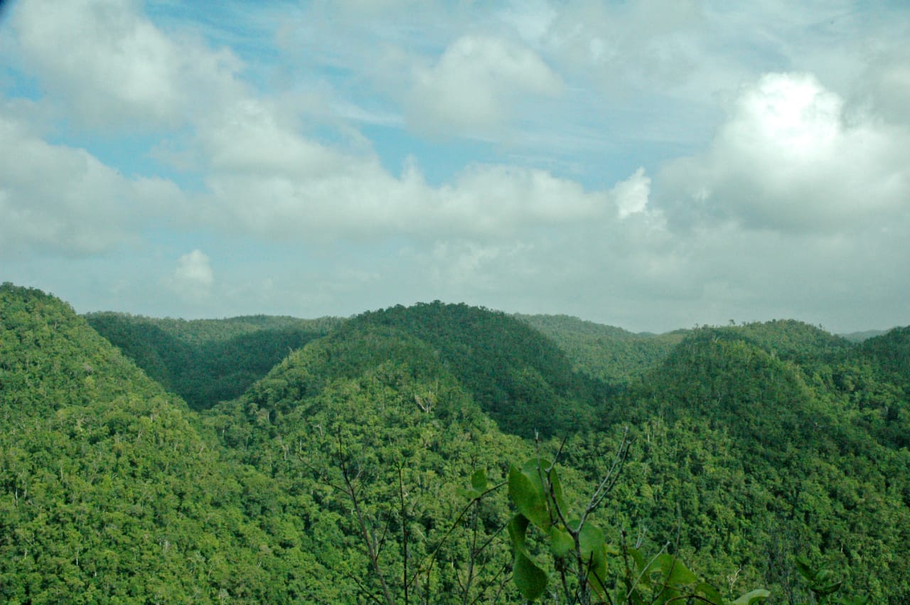 An aerial view of a section of Jamaica’s Cockpit Country.
