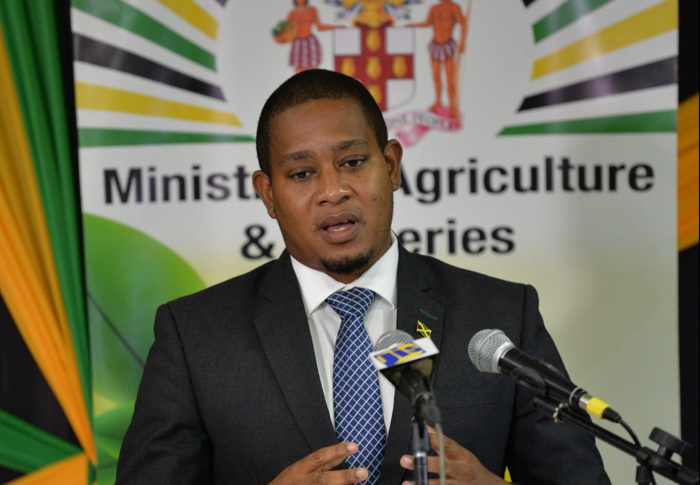 Minister of Agriculture and Fisheries, Hon. Floyd Green, addressing a recent virtual press conference.
