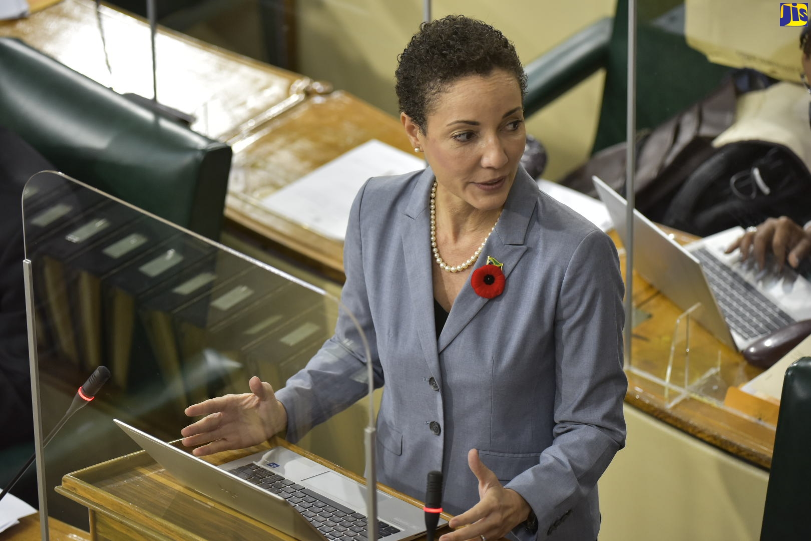 Minister of Foreign Affairs and Foreign Trade, Senator the Hon. Kamina Johnson Smith, addresses a sitting of the Senate on October 22.