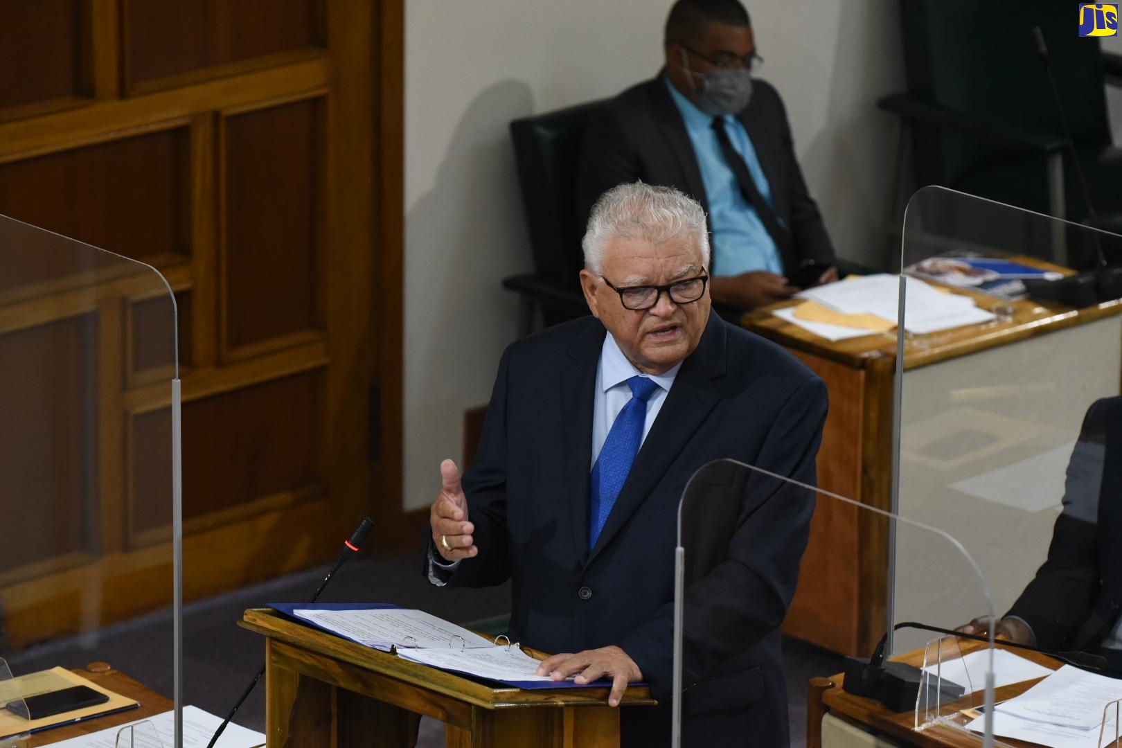 Minister of Labour and Social Security, Hon. Karl Samuda, addressing the House of Representatives on October 6.