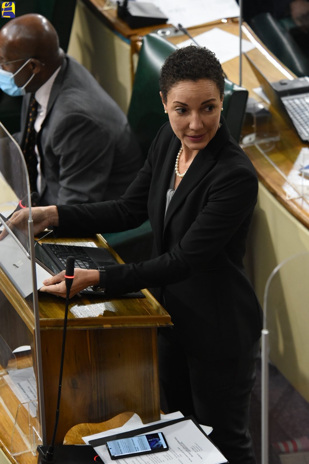 PHOTOS: Hon Kamina Johnson Smith speaks at Sitting of the Senate