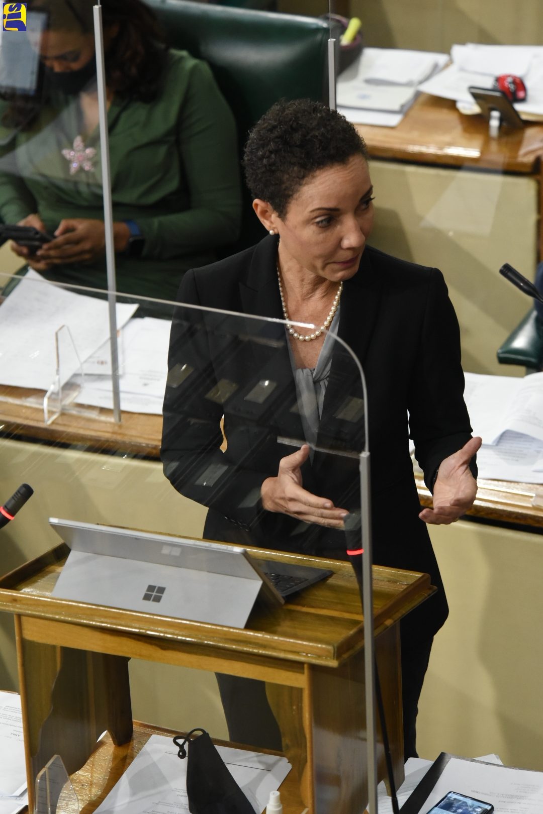 PHOTOS: Hon Kamina Johnson Smith speaks at Sitting of the Senate