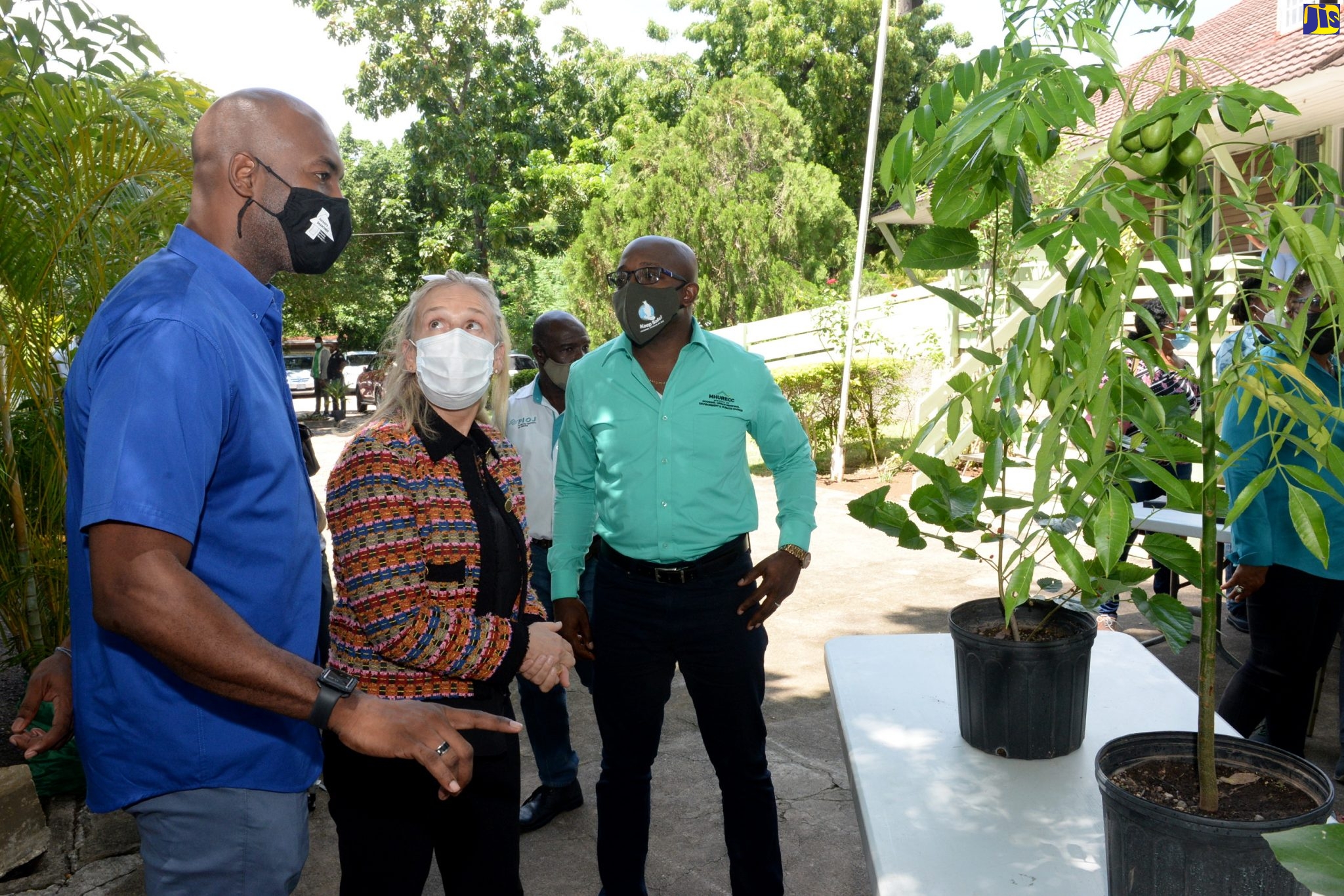 Minister of Housing, Urban Renewal, Environment and Climate Change, Hon. Pearnel Charles Jr. (right), in dialogue with Head of the European Union Delegation to Jamaica, Ambassador Marianne Van Steen (centre) and Chief Executive Officer and Conservator of Forests, Ainsley Henry,  about the new offering of potted fruit trees on sale at the Department, on National Tree Planting Day, October 1. The Forestry Department is now selling potted June plum, fig and mulberry plants from its 173 Constant Spring Road offices.
