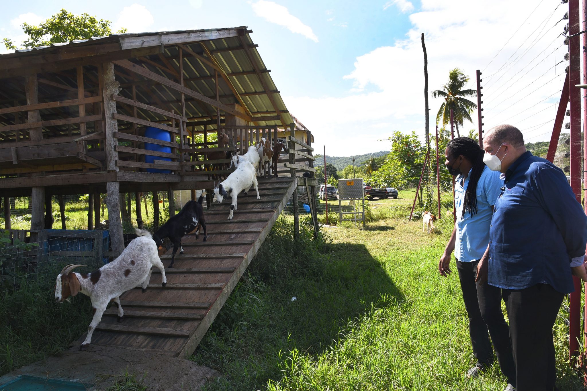 Minister Shaw Welcomes Hi-Tech Operations At Crafton Farms In St. Mary