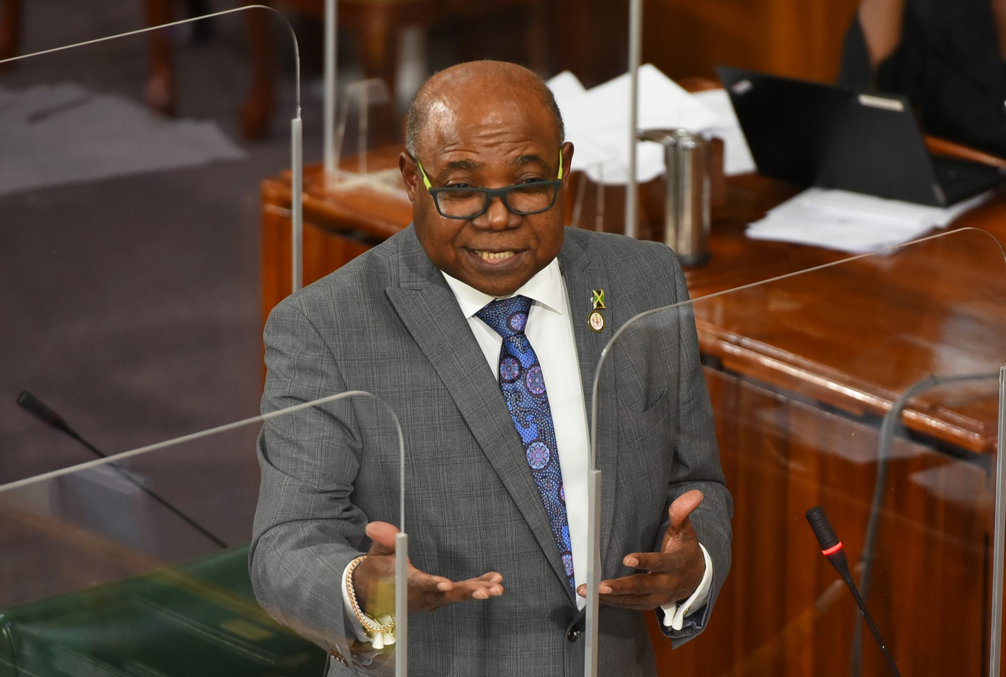 Minister of Tourism, Hon. Edmund Bartlett, delivers statement in the House of Representatives on November 16.