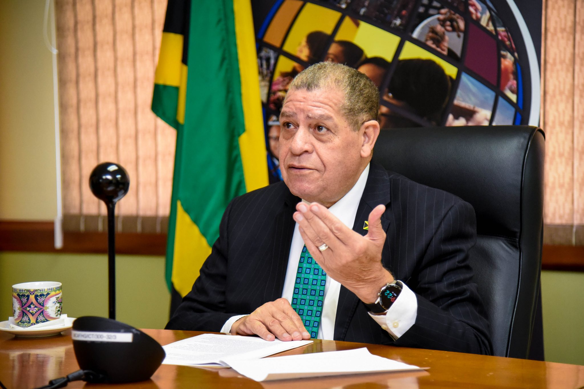 Minister of Industry, Investment and Commerce with portfolio responsibility for Agriculture and Fisheries, Hon. Audley Shaw.  (File Photo)