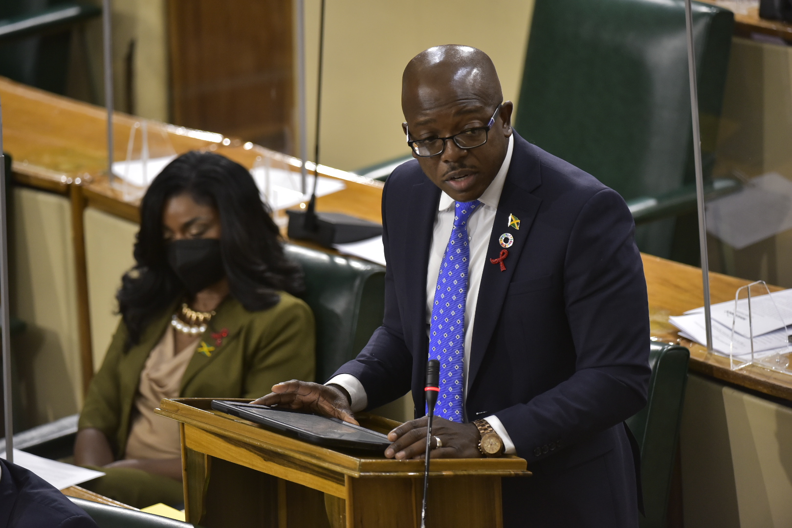 Minister of Housing, Urban Renewal, Environment and Climate Change, Hon. Pearnel Charles Jr., speaking during the sitting of the House of Representatives on November 30.

