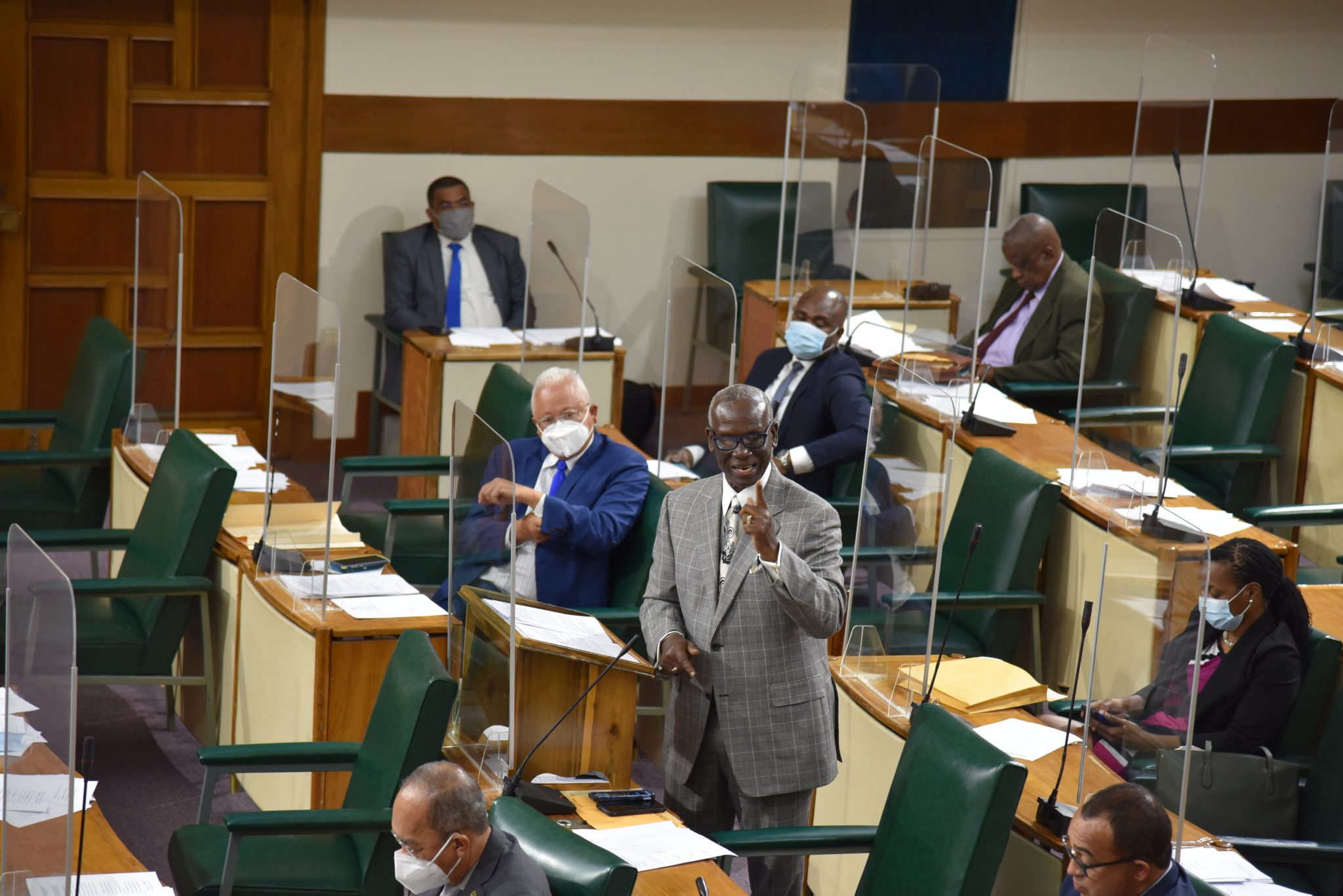 Minister of Local Government and Rural Development, Hon. Desmond McKenzie (standing), speaks in the House of Representatives on December 14.