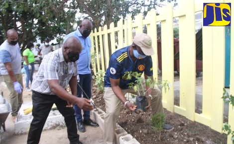 Minister of Local Government and Rural Development, Hon. Desmond McKenzie (right) and Mayor of Falmouth, Colin Gager (left), prepare to plant a tree on the grounds of the Trelawny Infirmary in Falmouth, during a recent visit to the facility by the Minister and his team as a part of Local Government Month activities in November.