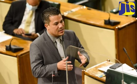 Minister without Portfolio in the Ministry of Economic Growth and Job Creation, Senator the Hon. Matthew Samuda, addresses the Senate, today (January 21).