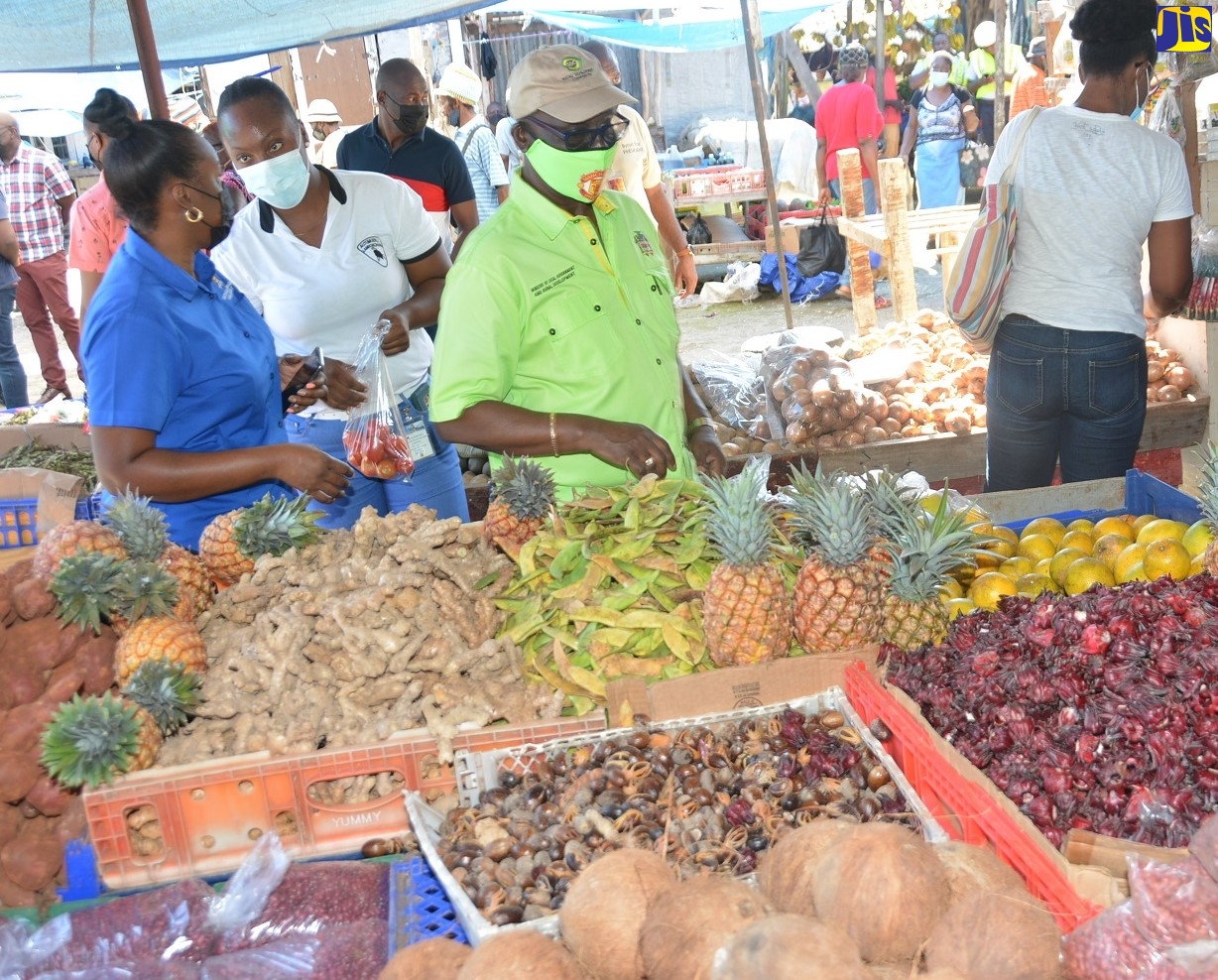 Beautification Project For Lucea, Hanover