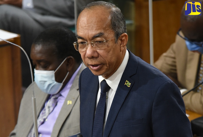 Minister of National Security, Hon. Dr. Horace Chang, speaking in the House of Representatives on Tuesday (January 18).  