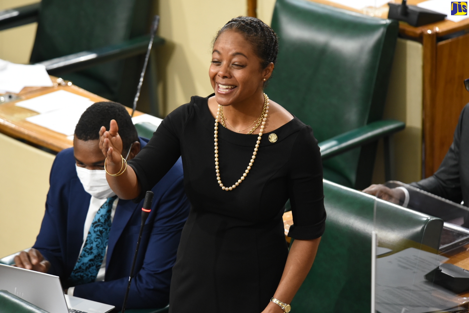 Minister of Legal and Constitutional Affairs, Hon. Marlene Malahoo Forte, speaking in the House of Representatives on Tuesday (January 18).
