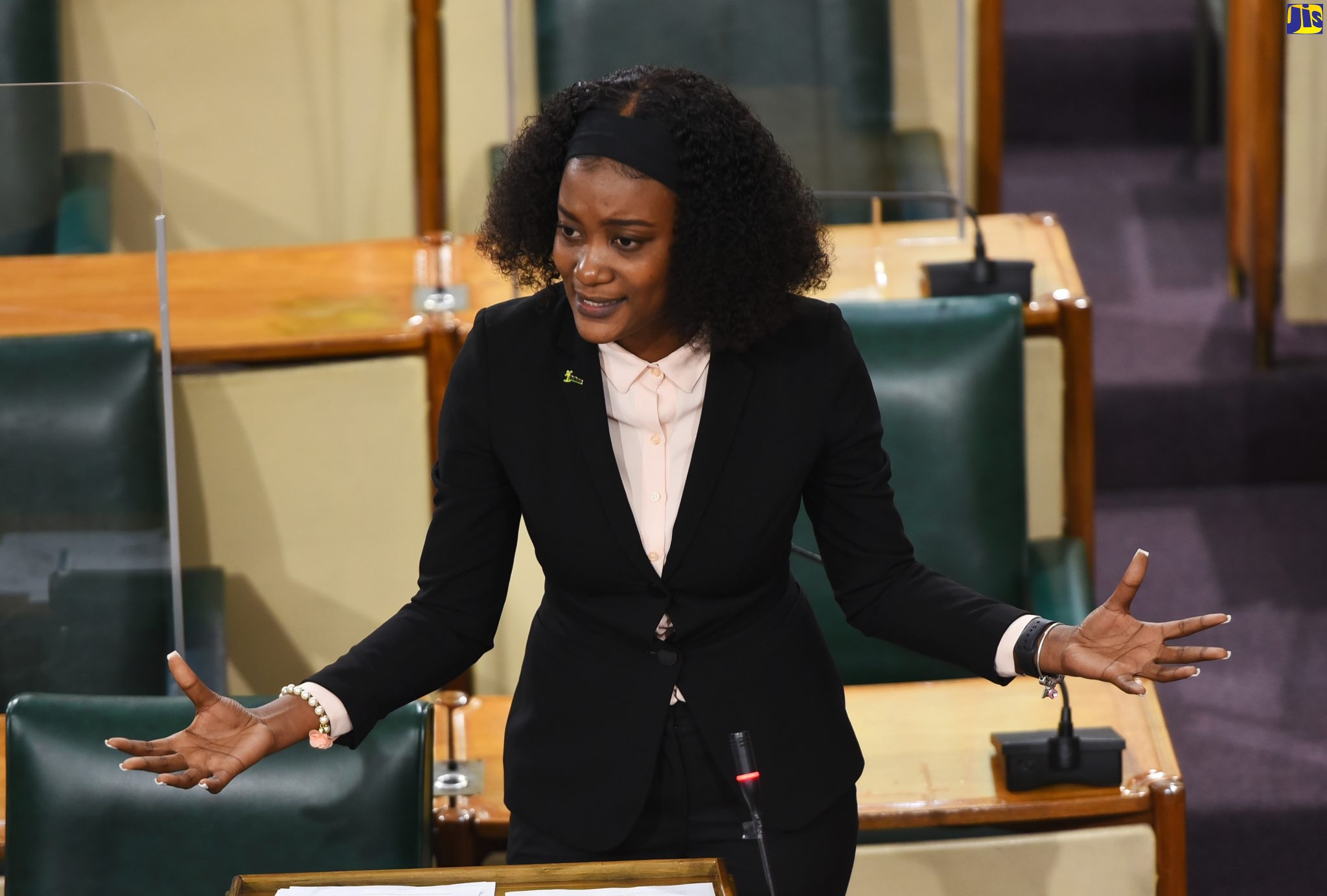 Youth Parliament Encourages Engagement In Democratic Process – Minister Williams