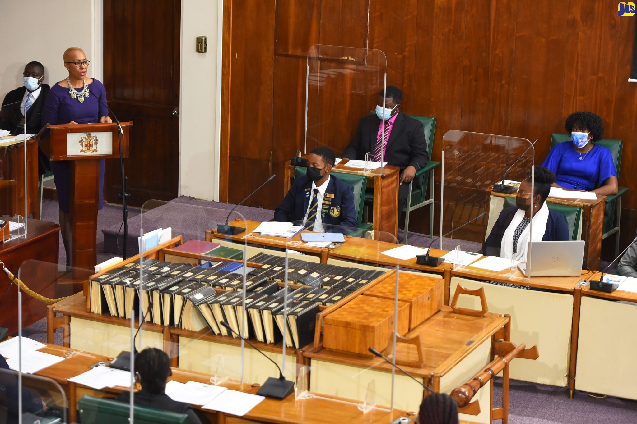 Youth Parliament Encourages Engagement In Democratic Process – Minister Williams