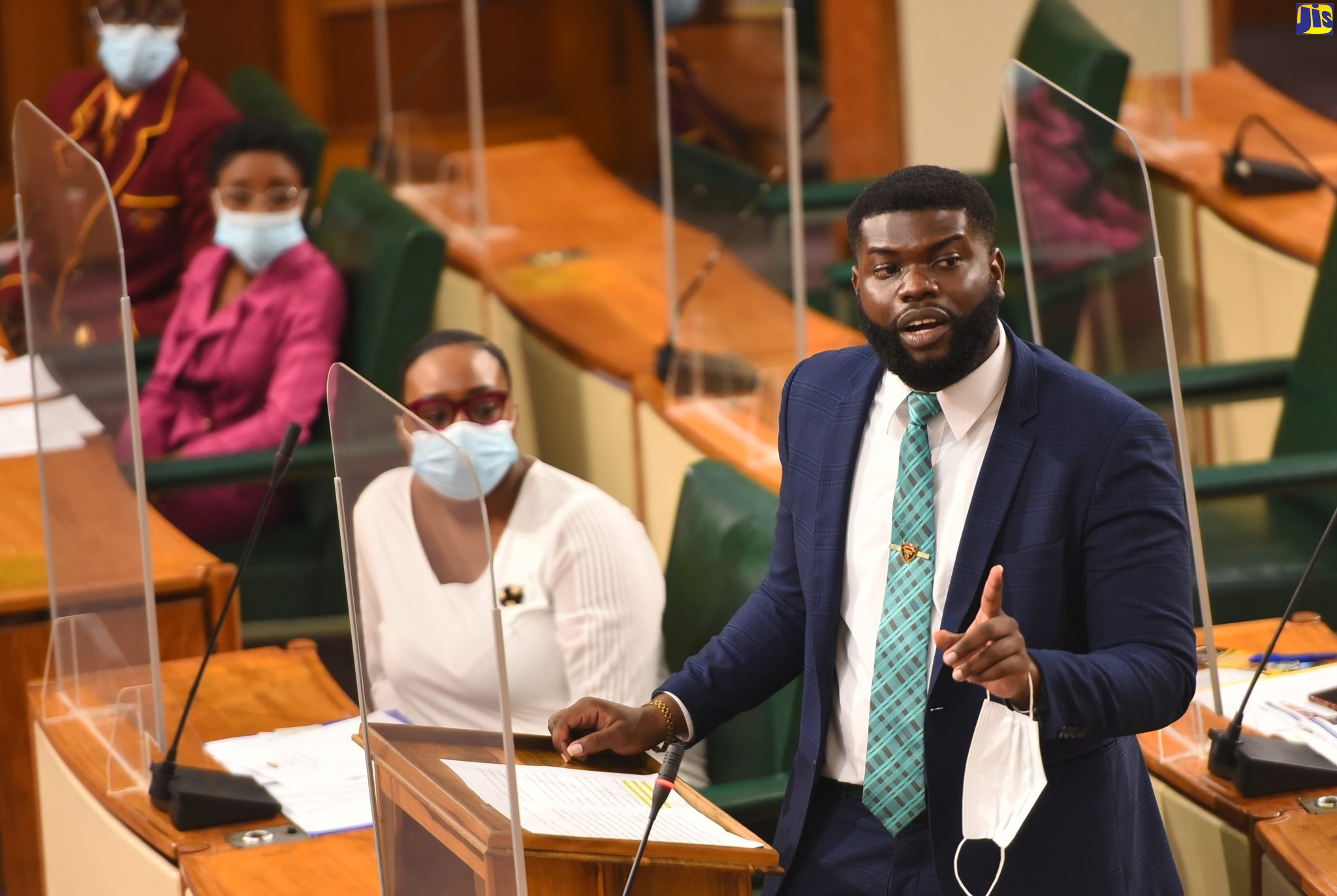 Youth Parliament Encourages Engagement In Democratic Process – Minister Williams