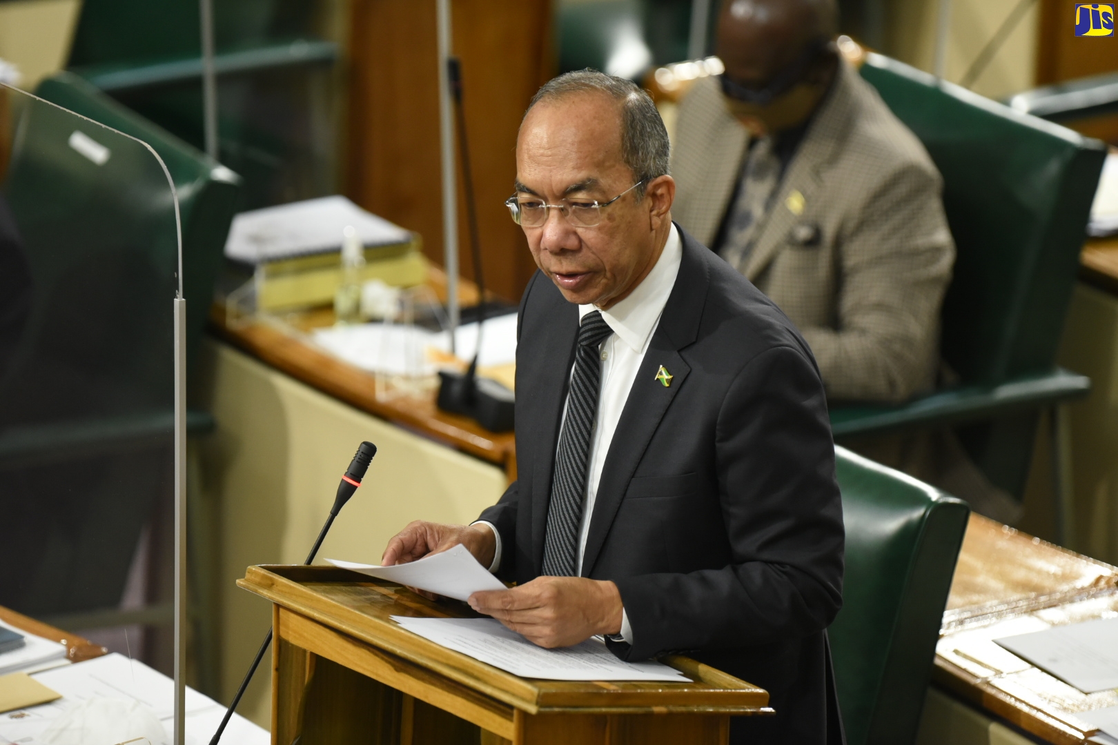 National Security Minister, Hon. Dr. Horace Chang, speaking in the House of Representatives on February 10.