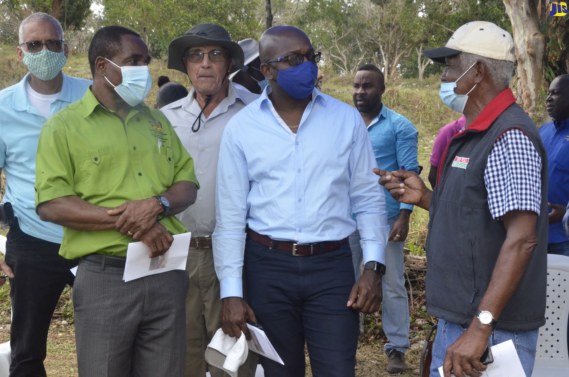 High-Quality Breeding Stock Of Jamaica Red Poll Will Be Maintained – Charles Jr.