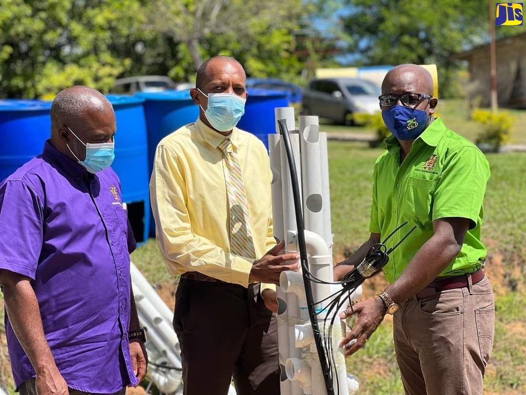 Minister of Agriculture and Fisheries, Hon. Pearnel Charles Jr (right), inspects a Hydroponics project at the Holland Primary School in St. Elizabeth on February 23. With the Minister (from left) are Permanent Secretary in the Ministry of Agriculture and Fisheries, Dermon Spence, and Principal for the Lewisville High School in St Elizabeth, Duken Williams.