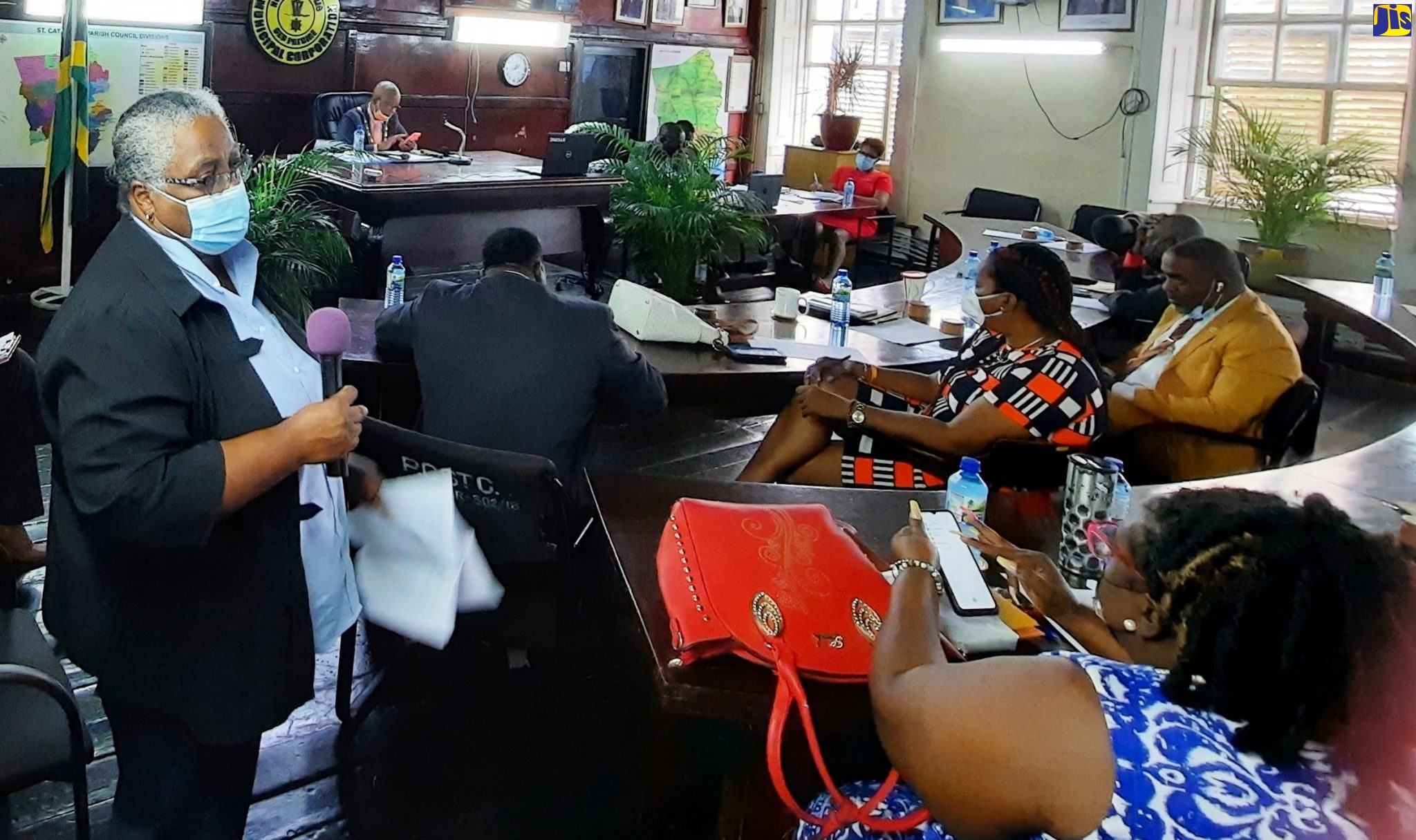 Medical Officer of Health for the parish of St. Catherine, Dr. Francia Prosper Chen, addresses the Monthly Meeting of the St. Catherine Municipal Corporation, on February 10.