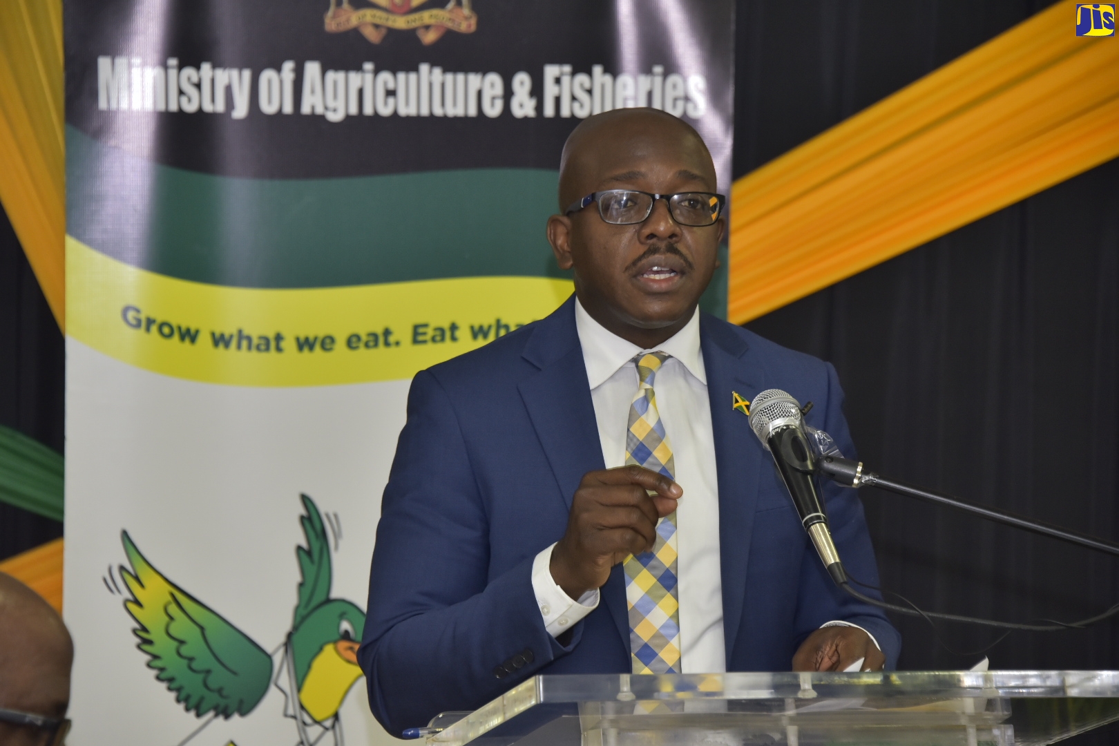 Minister of Agriculture and Fisheries, Hon. Pearnel Charles Jr., addresses the Ministry’s virtual press briefing on Tuesday (February 8), giving an update on the performance of the sector.