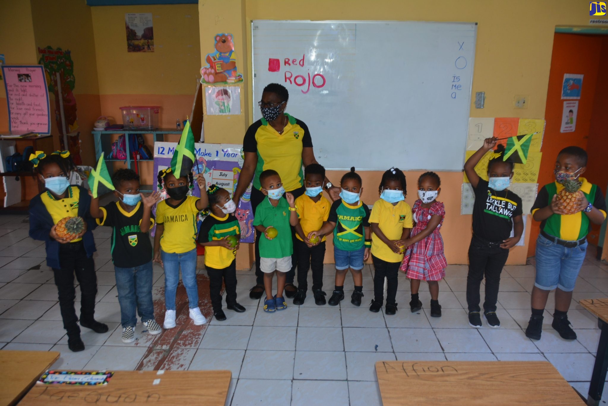 PHOTOS: Jamaica Day at Corinaldi Avenue Primary School