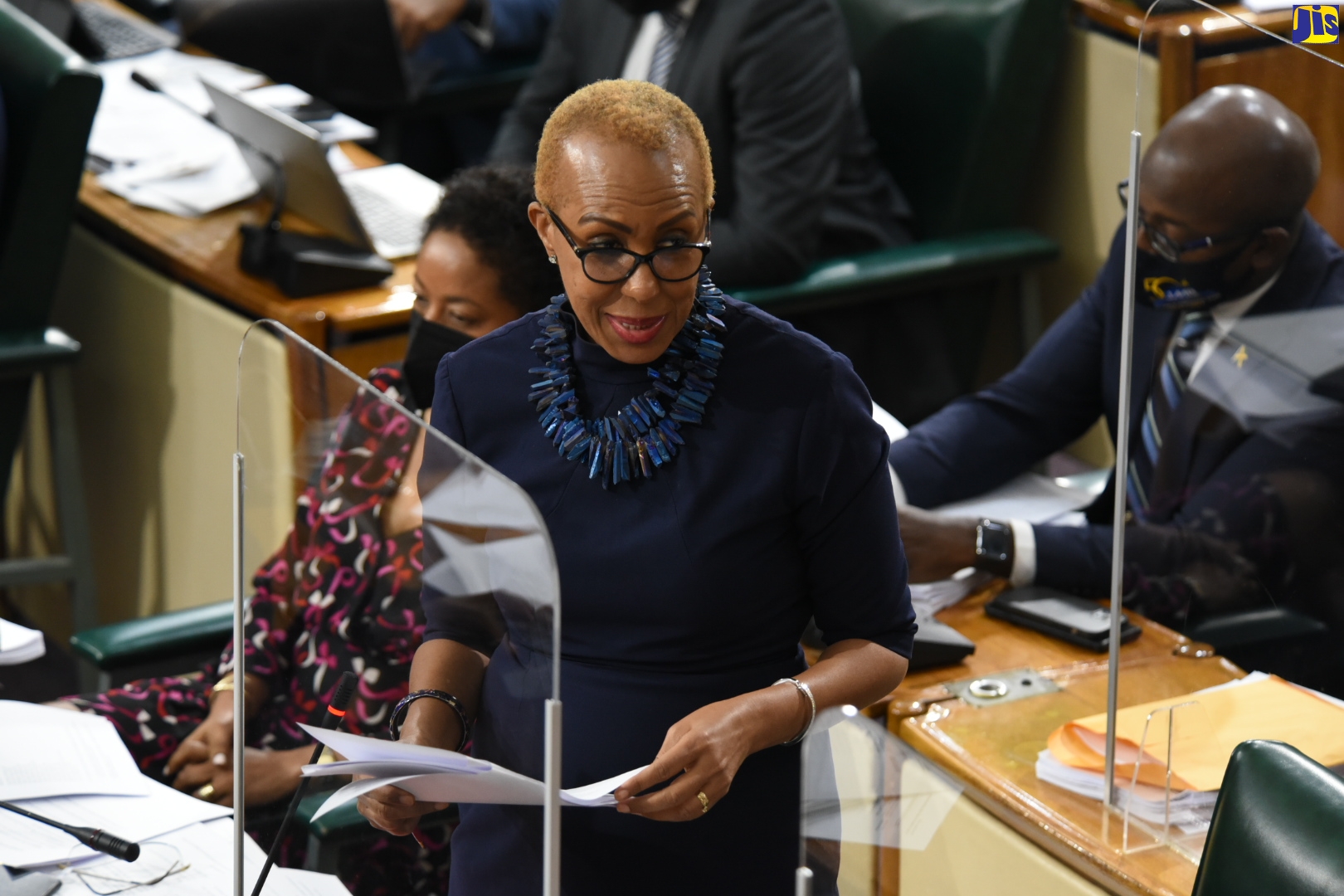 Minister of Education and Youth, Hon. Fayval Williams, speaking in the House of Representatives on February 1.