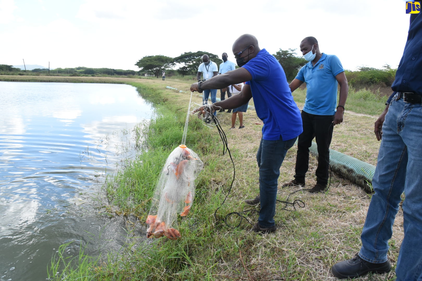 Agriculture and Fisheries Minister, Hon. Pearnel Charles Jr. (left), displays a catch during his visit at the Anna Dallas Fish Farm in St. Catherine, on Wednesday (February 3). Looking on is Chief Technical Director, Special Projects in the Ministry, Courtney Cole (right). The Minister also visited Dolly B. Farms and Aqua Wilson Fish Farm in the parish. He also consulted with several fish farmers with a view to addressing challenges in the sector.